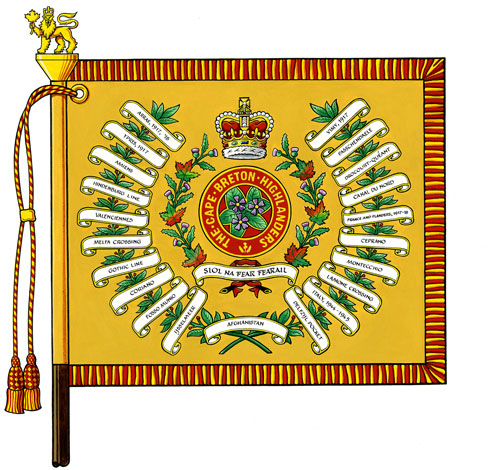 vi487_20130002_flag_CapeBretonRegimentalColours.jpg