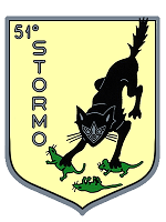 51°Stormo-Patch.png