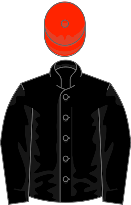 Owner_Mr_H_J_Joel.svg.png