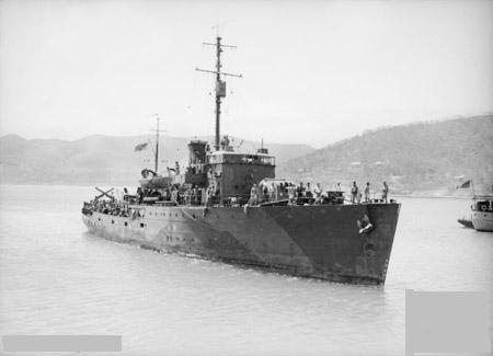 a11.jpg