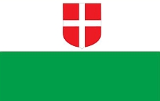 flagquiz.JPG