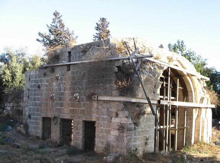 jaljulia1as.jpg