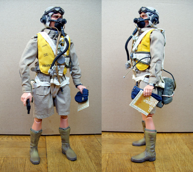RAF desert pilot.jpg