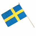 flagga.jpg