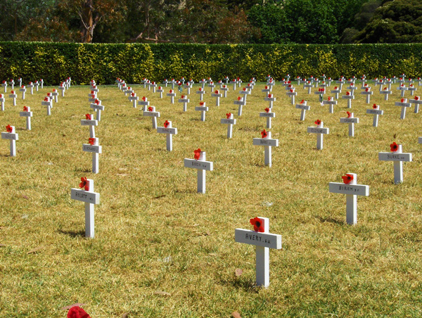 CrossesandPoppiesmore.jpg