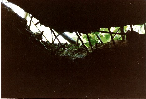 bunker010.jpg