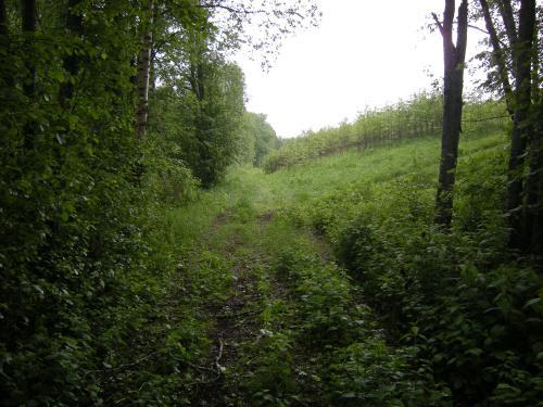 b7.jpg