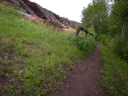 c7.jpg