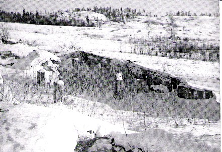 stenfot03.jpg