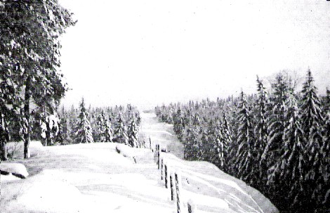 gräns01.jpg