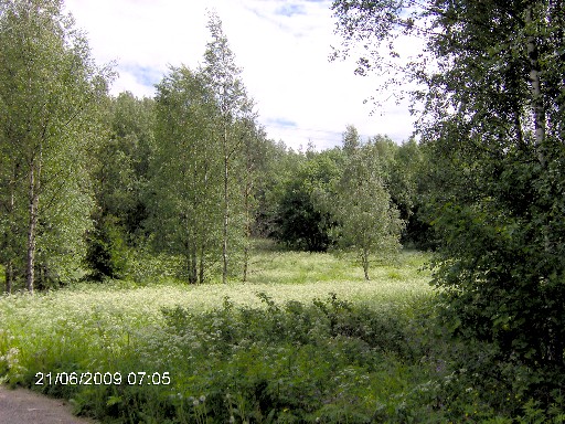 gräns03.jpg