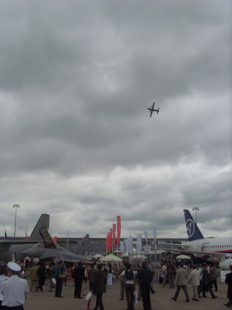SI852315.JPG