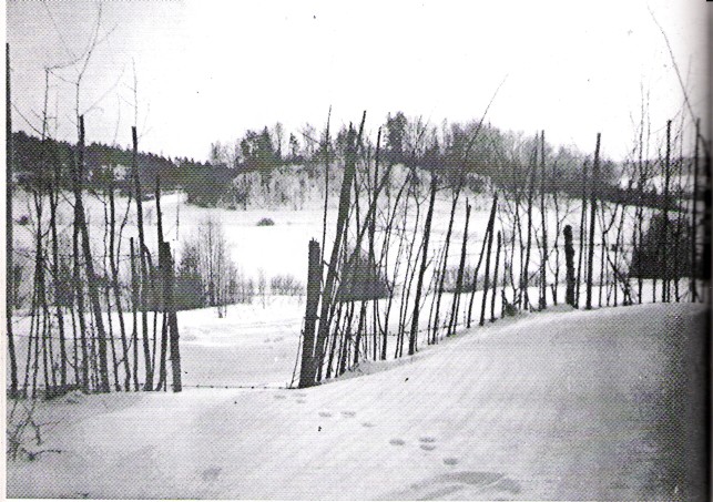 lök01.jpg