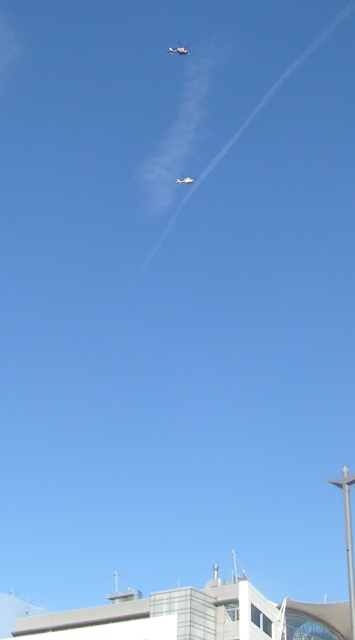 SI853173.JPG