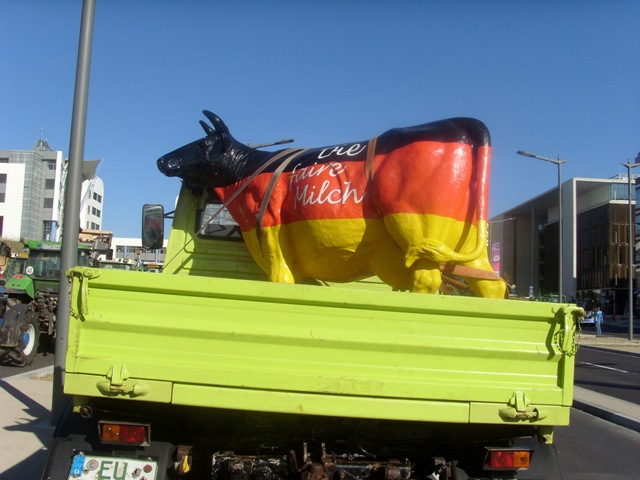 SI853171.JPG