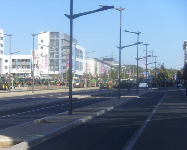SI853169.JPG