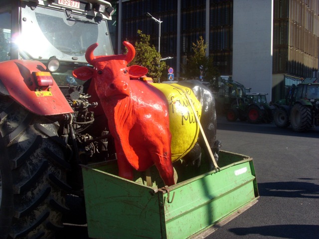 SI853175.JPG