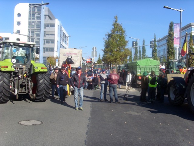 SI853174.JPG