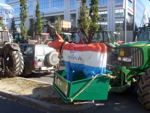 SI853179.JPG