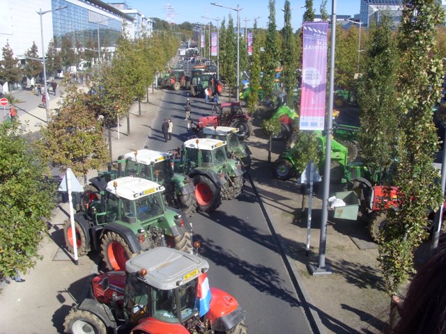 SI853182.JPG