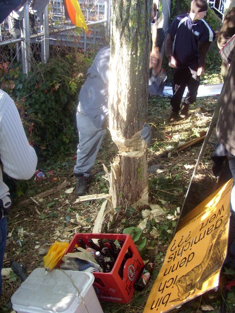SI853191.JPG