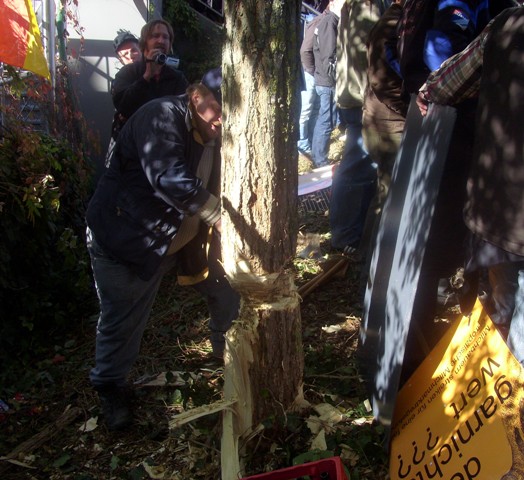 SI853190.JPG