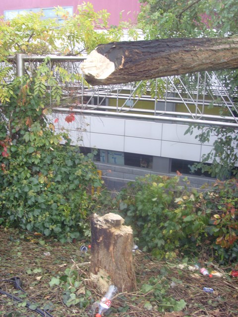 SI853225.JPG