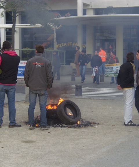 SI853248.JPG