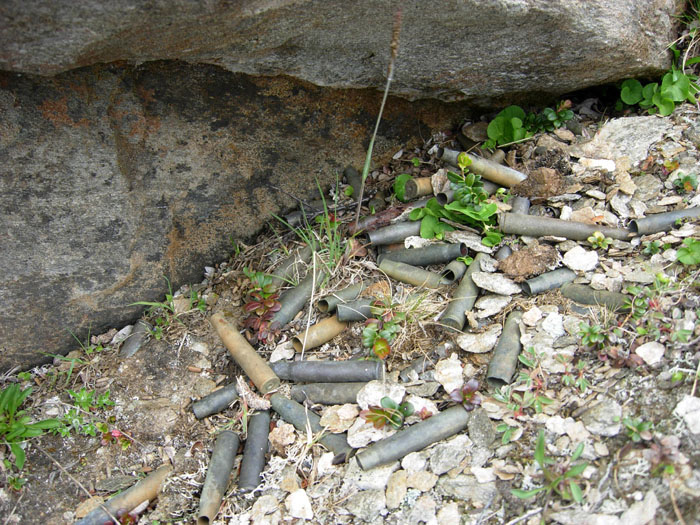DSCN4853.JPG