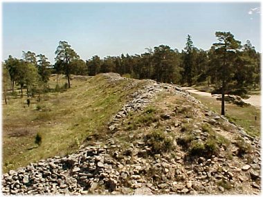 påmarken.jpg