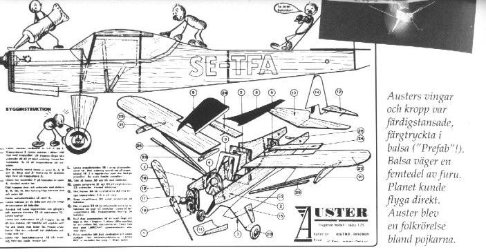 auster.jpg