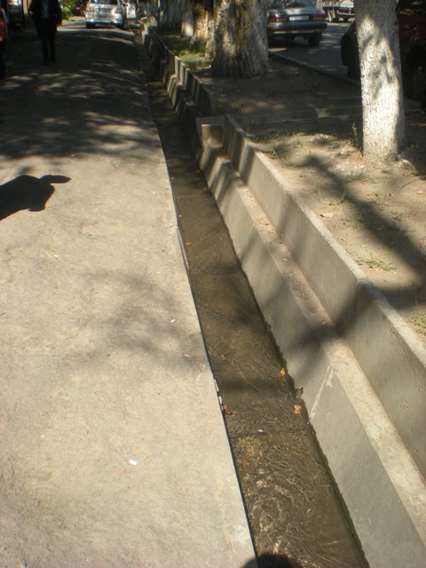 7.JPG