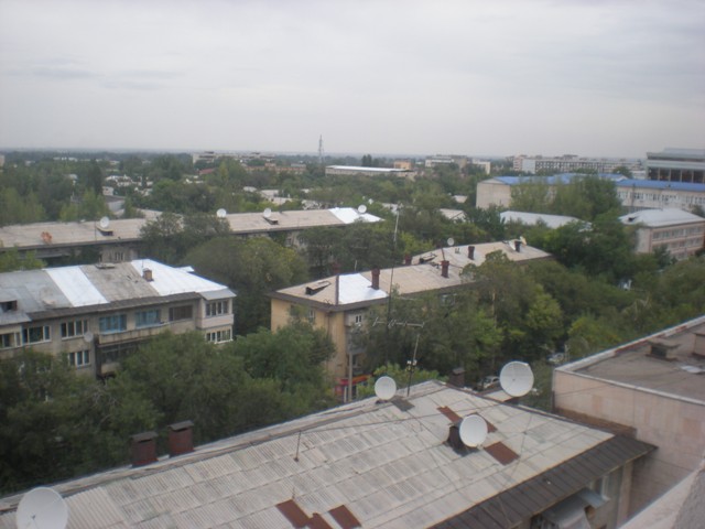 6.JPG