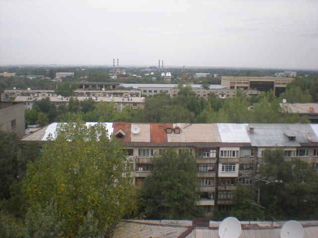 5.JPG