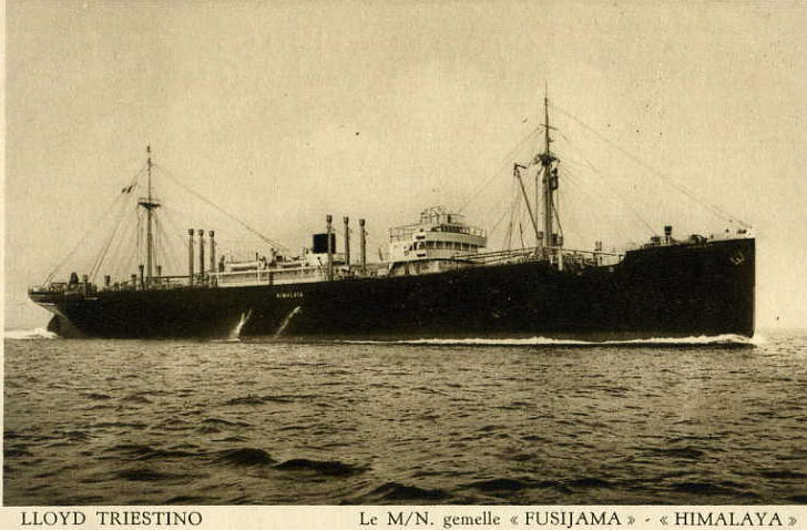 loyd Triestinos FUSIJAMA.jpg
