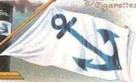 house-flag.jpg
