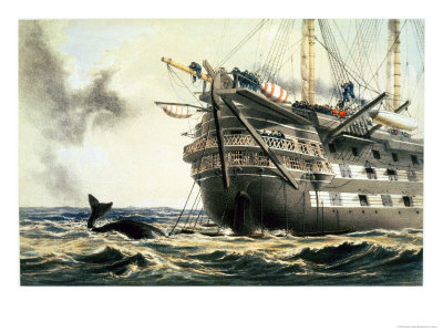HM Ship.jpg