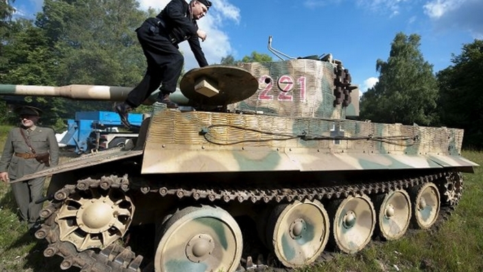 tiger.jpg