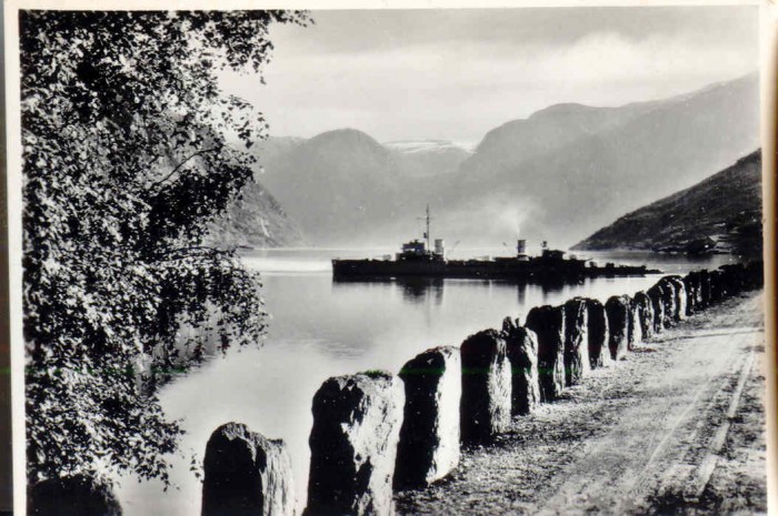 mysko jagare i Sogn.jpg