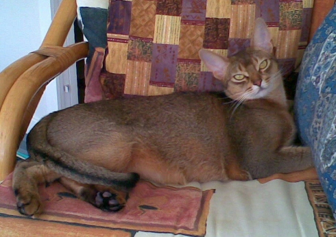 4 Felix slappar i bersån.jpg