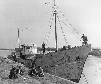 fiskebåt.jpg