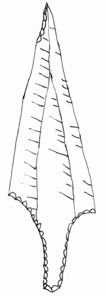 vad6.png