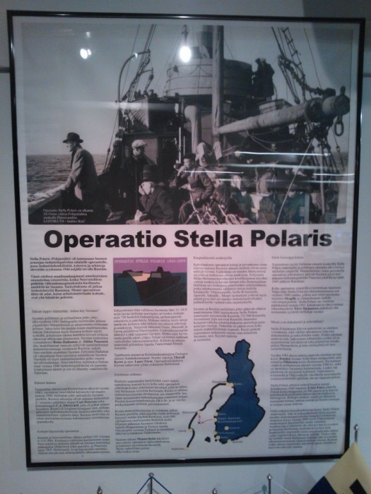 stella polaris.jpg