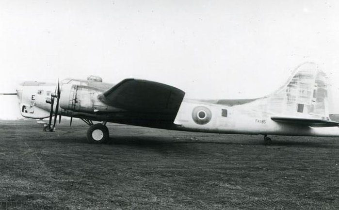 B-17 med 40mm S-gun.jpg