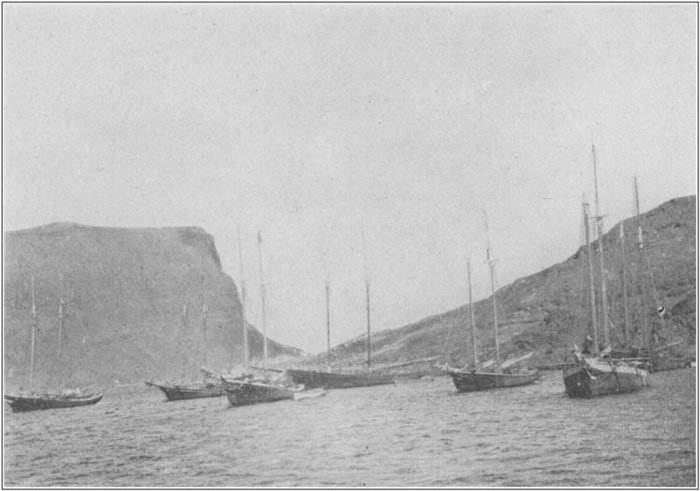 Icy Tickle Bay ankarplats.jpg