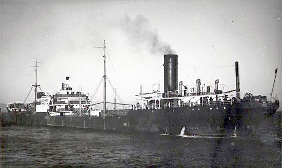 el-oso.jpg