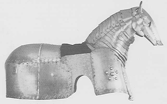 horse3.jpg