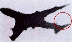 Jal123damage.jpg