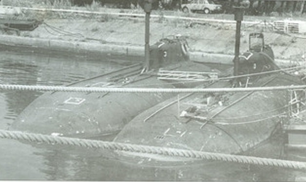 piranha-8.jpg