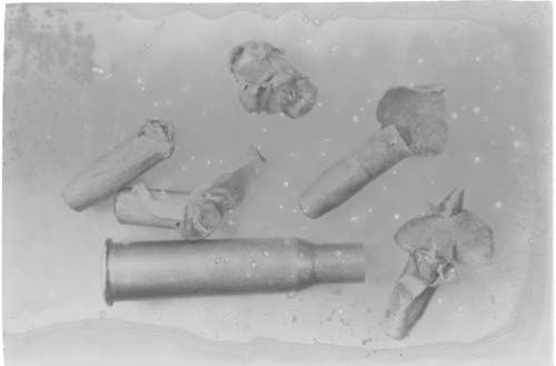 moscowbullets3.jpg